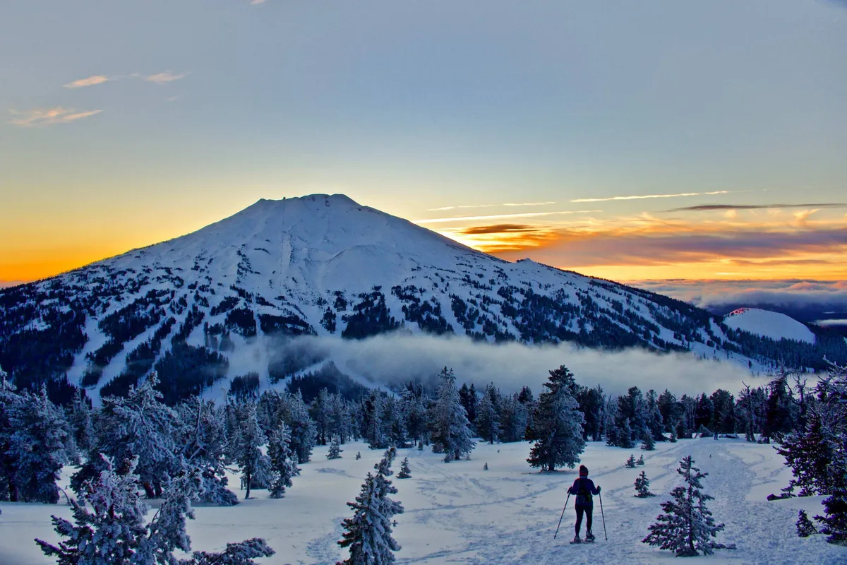 A breathtaking view of a snow-covered mountain at sunset with a skier making their way down the slope, surrounded by tall pine trees. The scene captures the excitement of winter sports and the beauty of the Pacific Northwest wilderness.